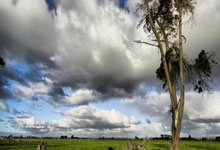 名球迷在法国vs克罗地亚比赛时行纳粹礼，被法国警察逮捕.